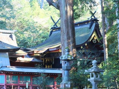 ⛩️ 가시마 신궁 이미지 2